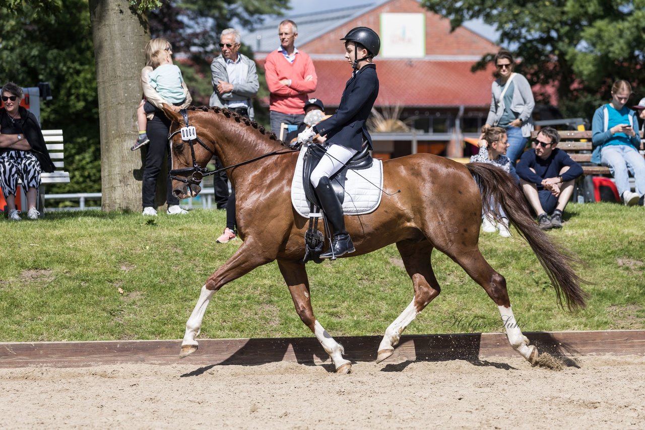 Bild 176 - Pony Akademie Turnier